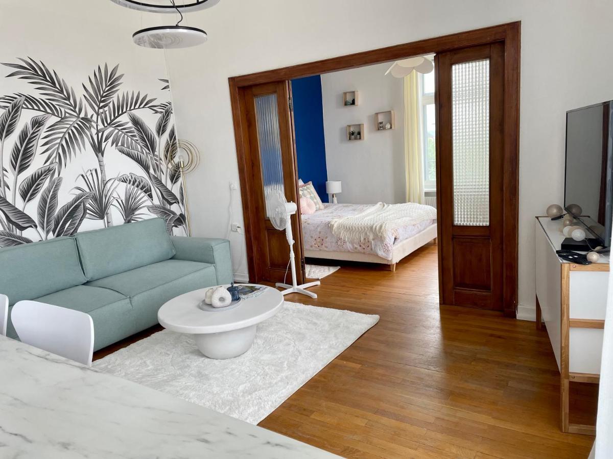 Apartamento Nid Urbain Colmarien - 4 Personnes - Garage Exterior foto